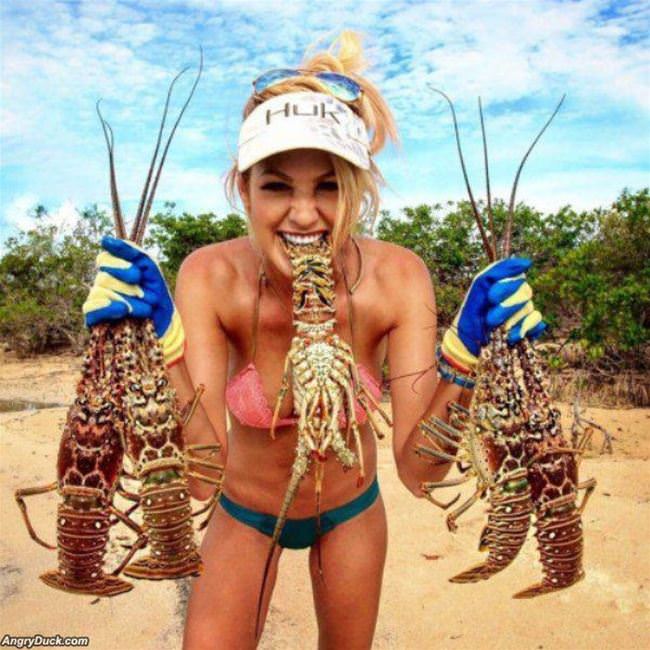Who Wants Lobster