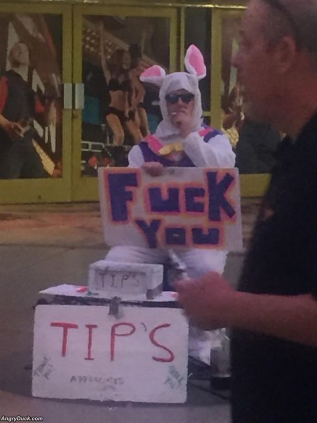 A Friendly Bunny