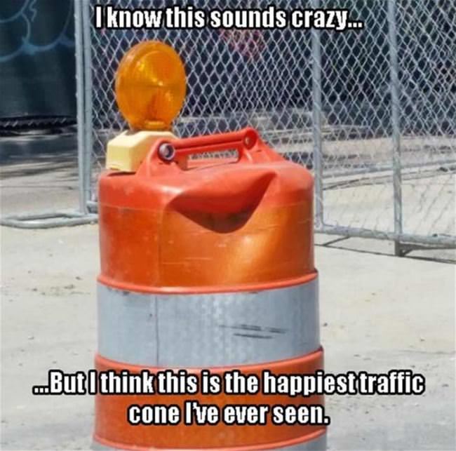 Happiest Traffic Cone I Have Ever Seen