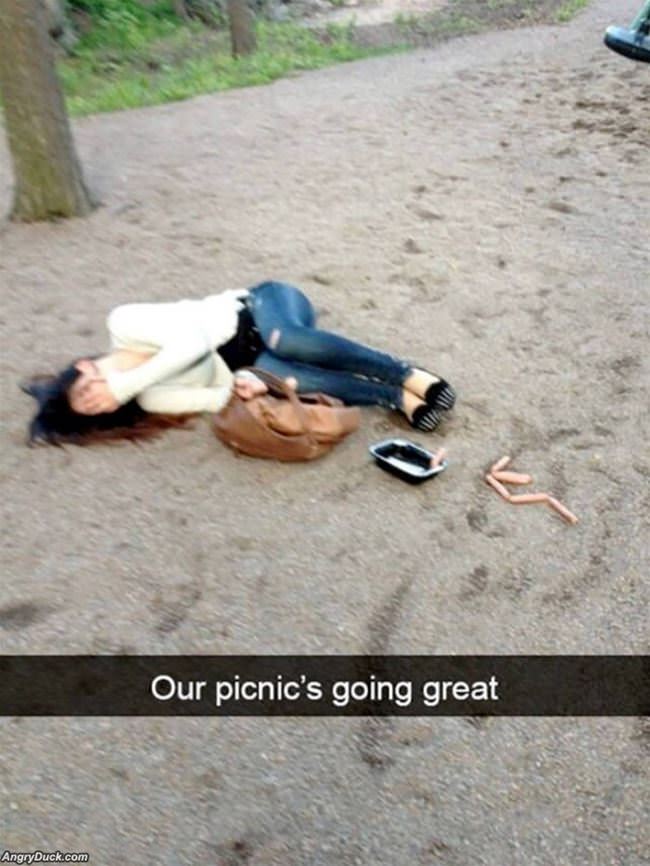 Having A Nice Picnic