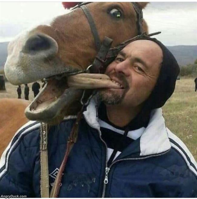 Horsing Around