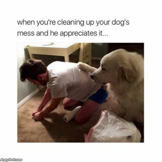 I Appreciate The Help