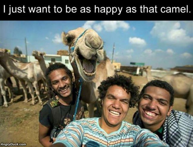 I Want To Be This Happy