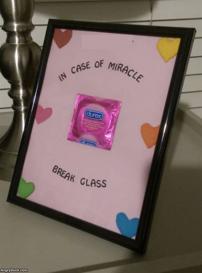 In Case Of Miracle