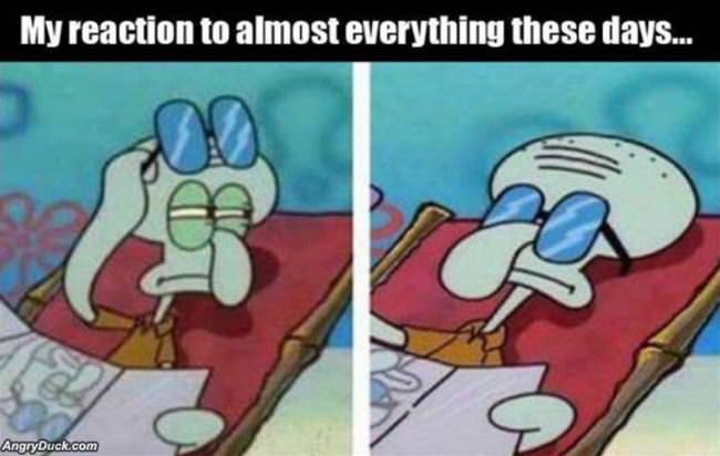 My Reaction To Most Things