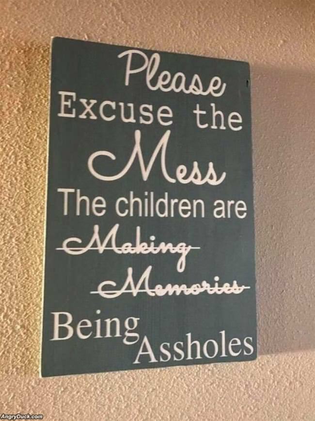 Please Excuse The Mess
