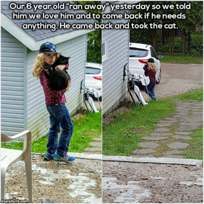 Take Whatever You Need