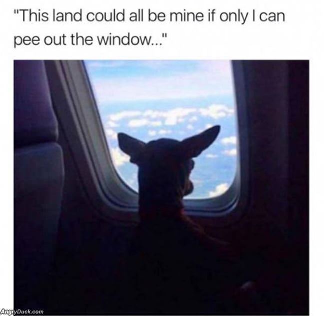 This Could All Be Mine