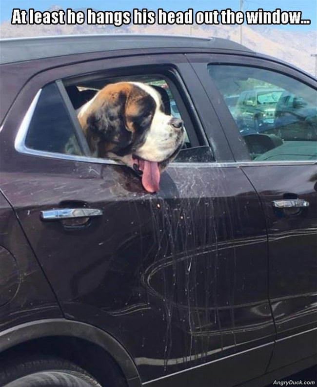At Least It Made It Out The Window