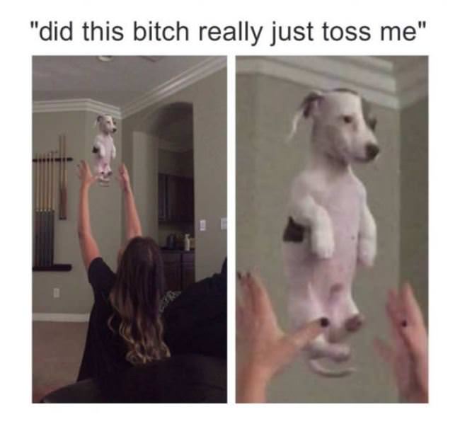 Did She Just Do That