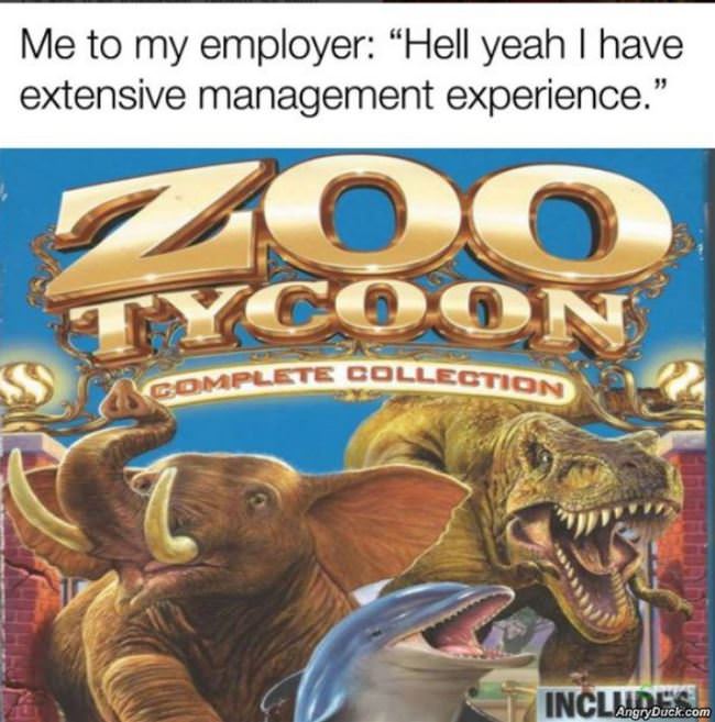 Extensive Experience