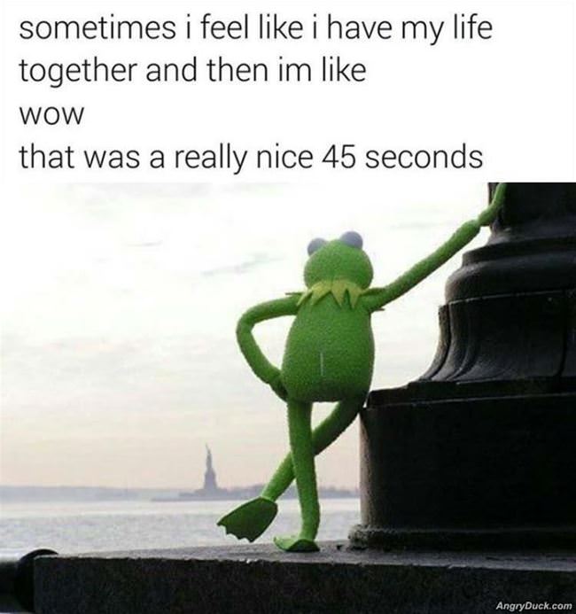 Have My Life Together