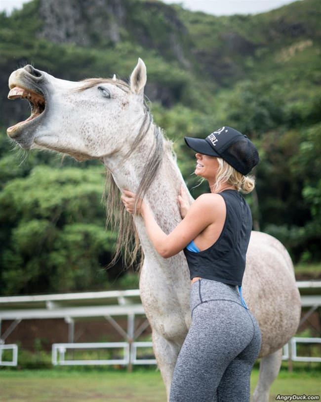 Horsing Around