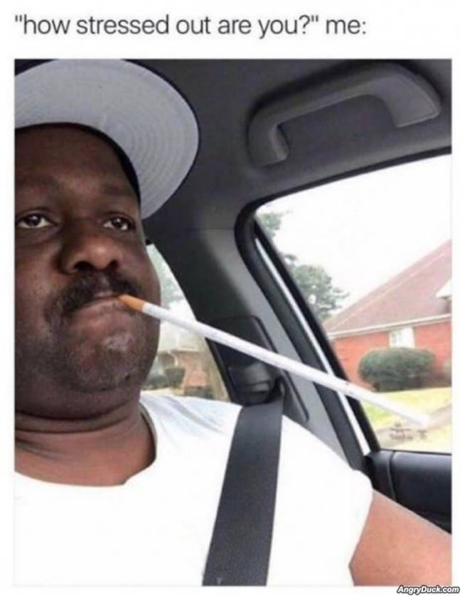 How Stressed Out Are You