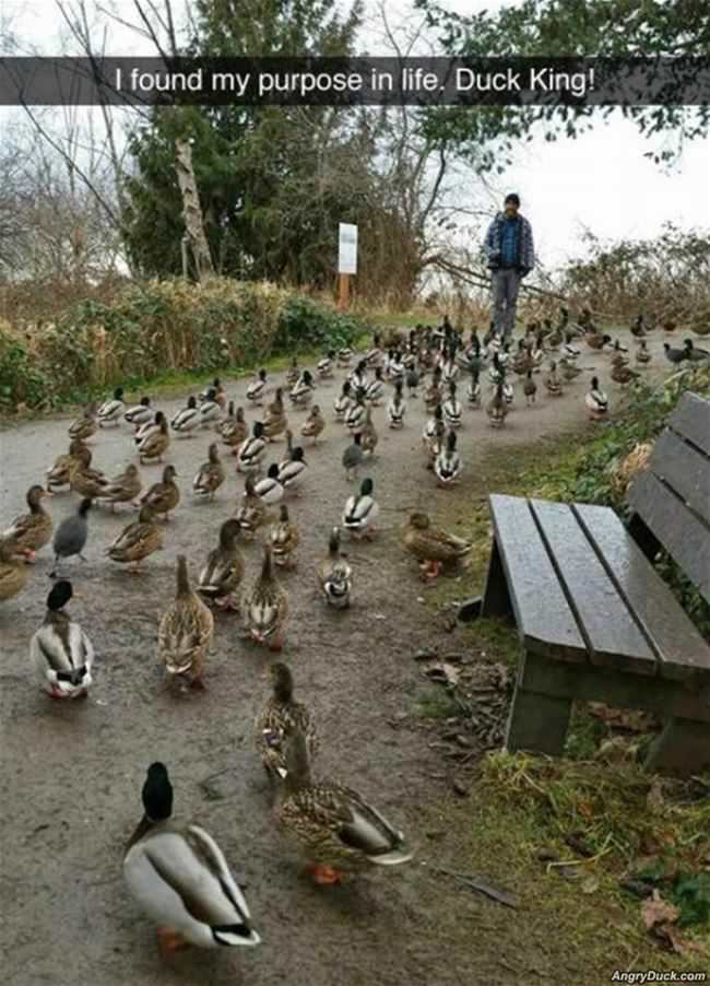 I Found My Purpose In Life