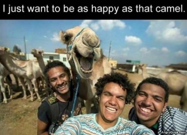 I Just Want To Be That Happy