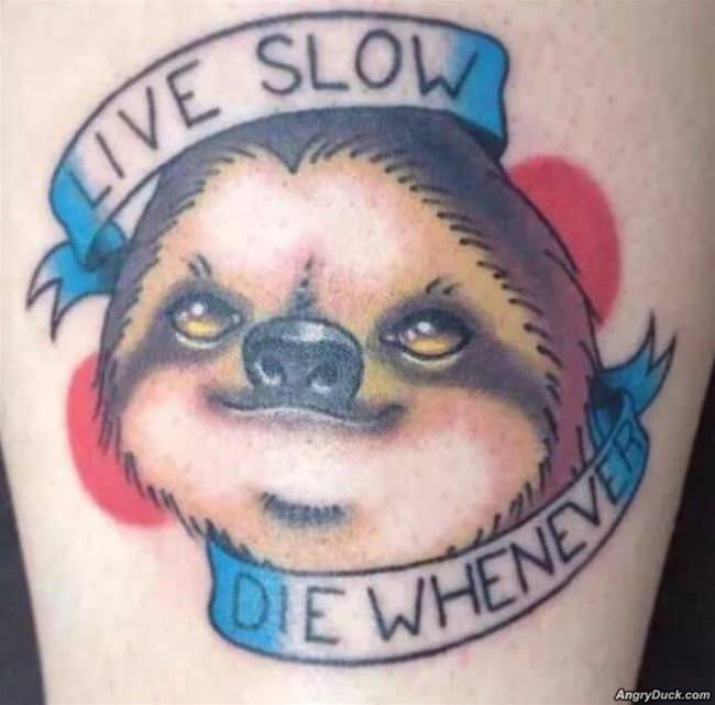 Live Slow