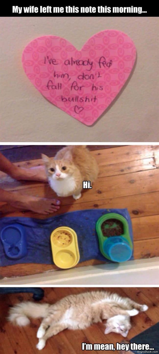 My Wife Left Me This Note