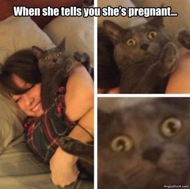 Pregnant