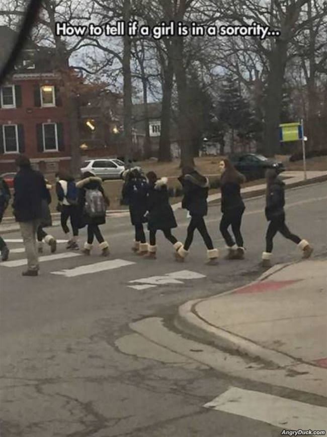 Sorority Girls
