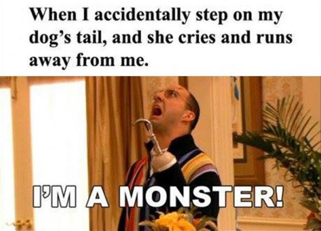 Step On The Dogs Tail