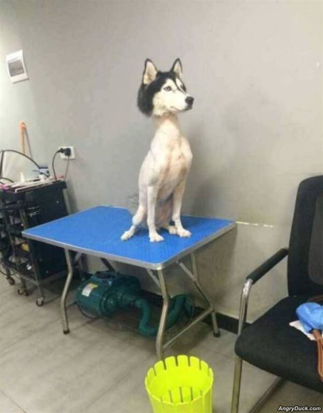 The Rest Is Fluff