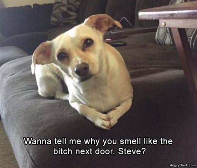 Why Do You Smell Like Her Steve