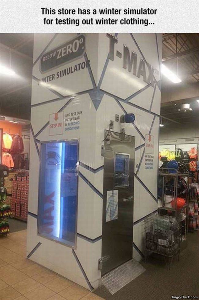 Winter Simulator
