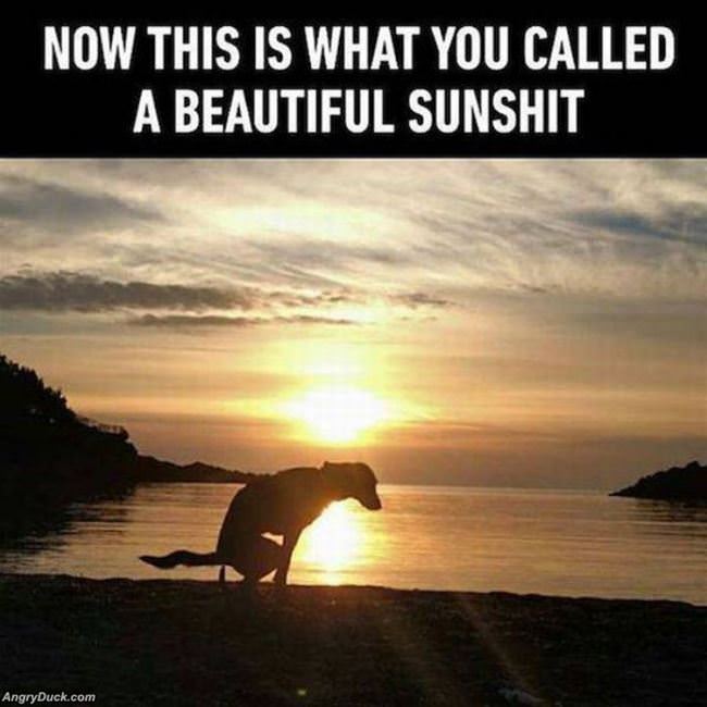 A Beautiful Sunset