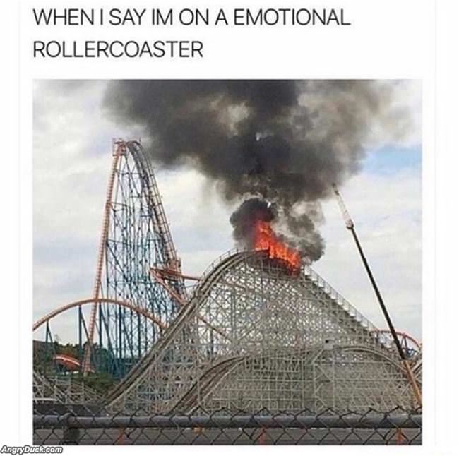 An Emotional Rollercoaster