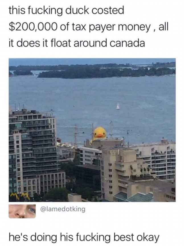 Awesome Investment
