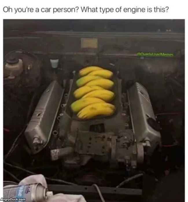 Banana Power