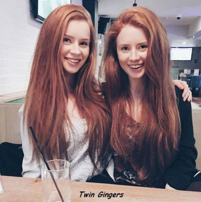 Ginger Twins