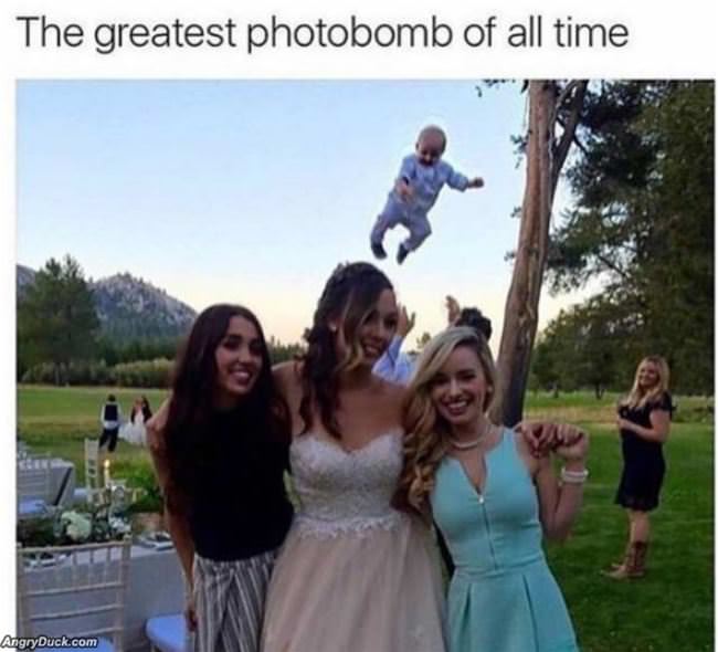 Greatest Photobomb Of All Time