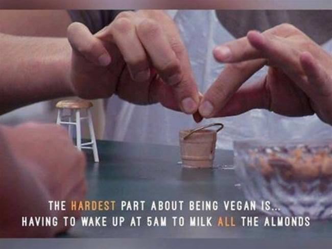 Hardest Part Of Being A Vegan