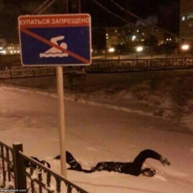 I Will Swim If I Want