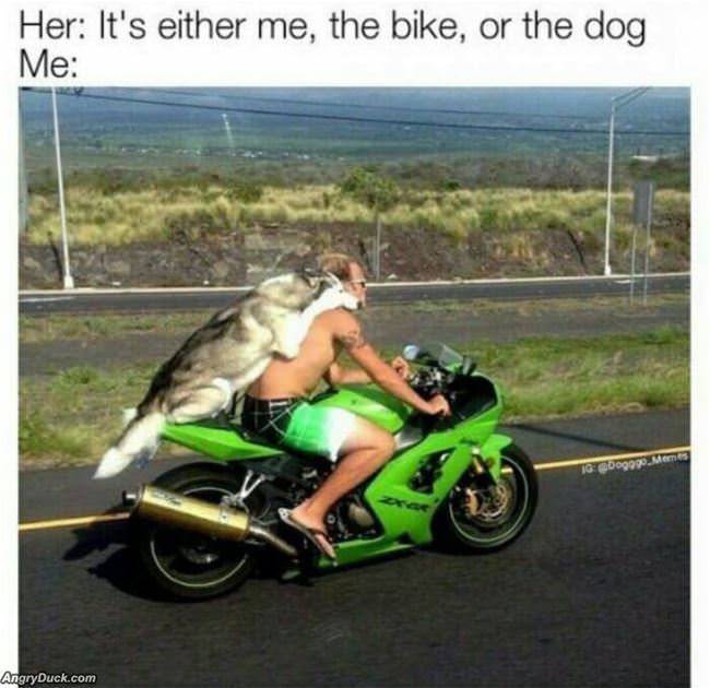 Me The Bike Or The Dog