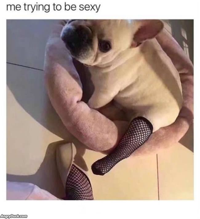 Me Trying To Be Sexy