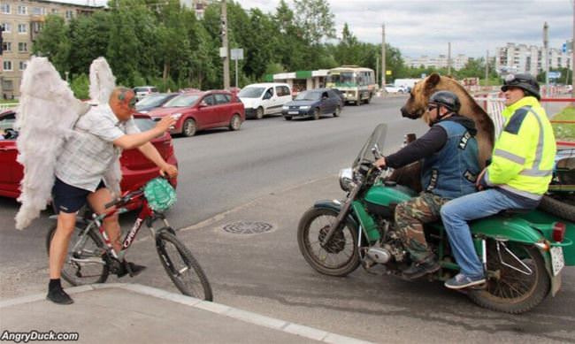 Meanwhile In Russia