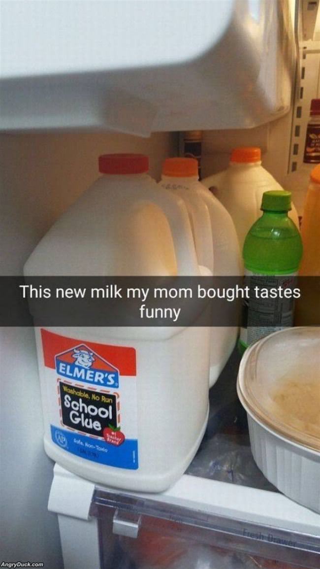 New Milk Tastes Funny