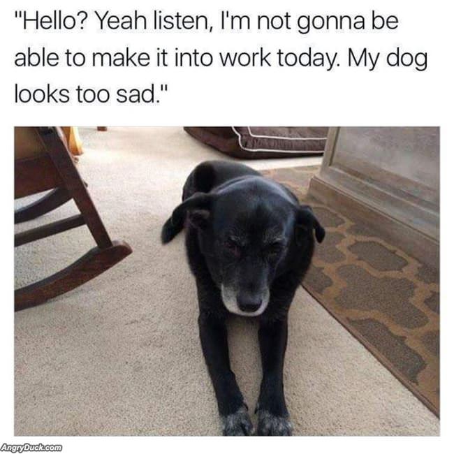 Not Coming To Work Today