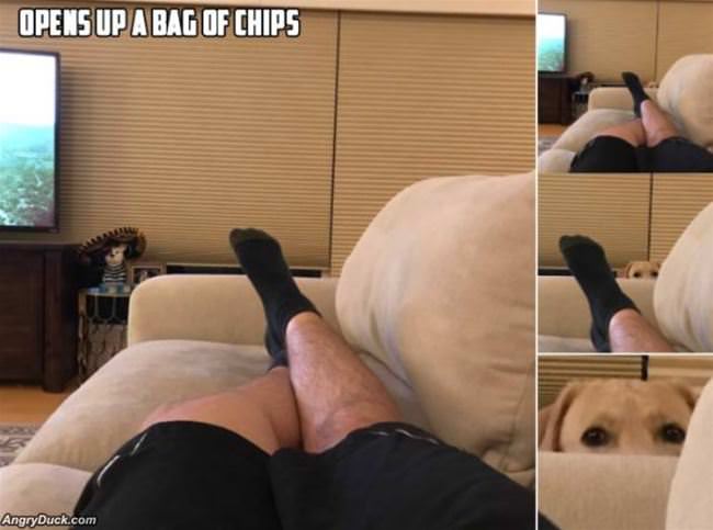 Opens A Bag Of Chips