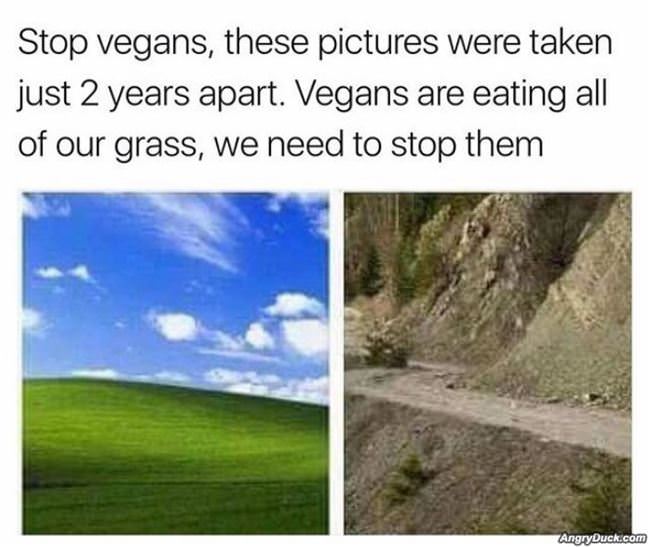 Stop Vegans