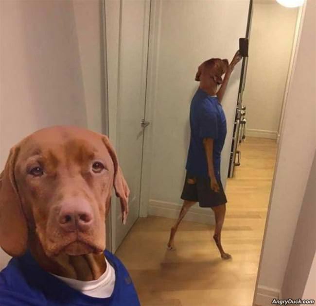 Taking A Fun Selfie