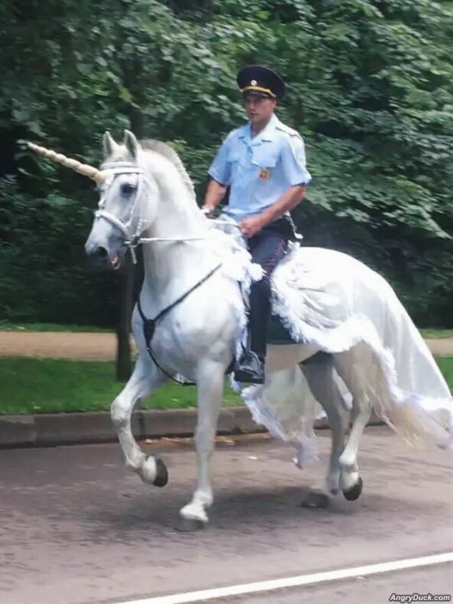 Unicorn Police