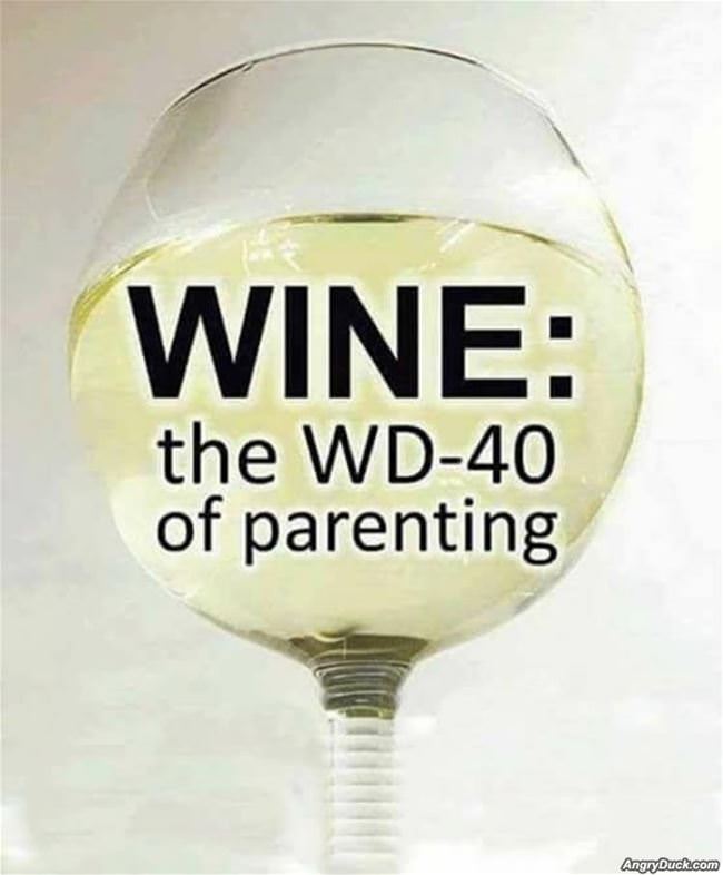Wd40 Of Parenting