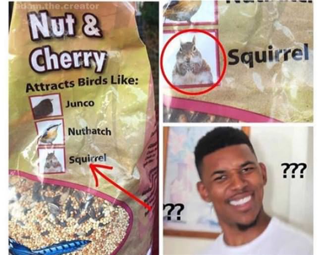 What Kind Of Bird Is That