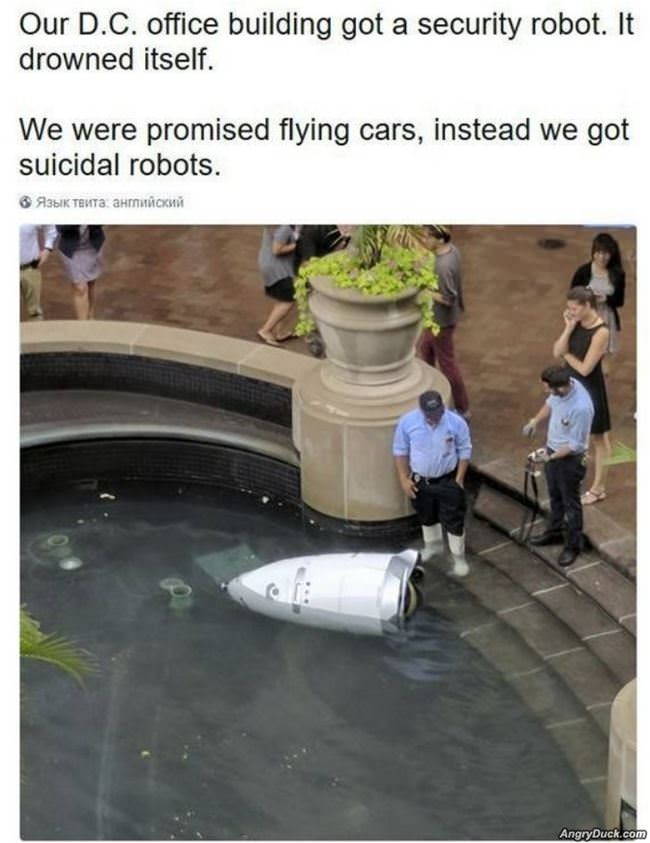 Where Are The Flying Cars