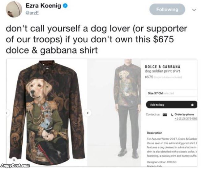 A Dog Lover