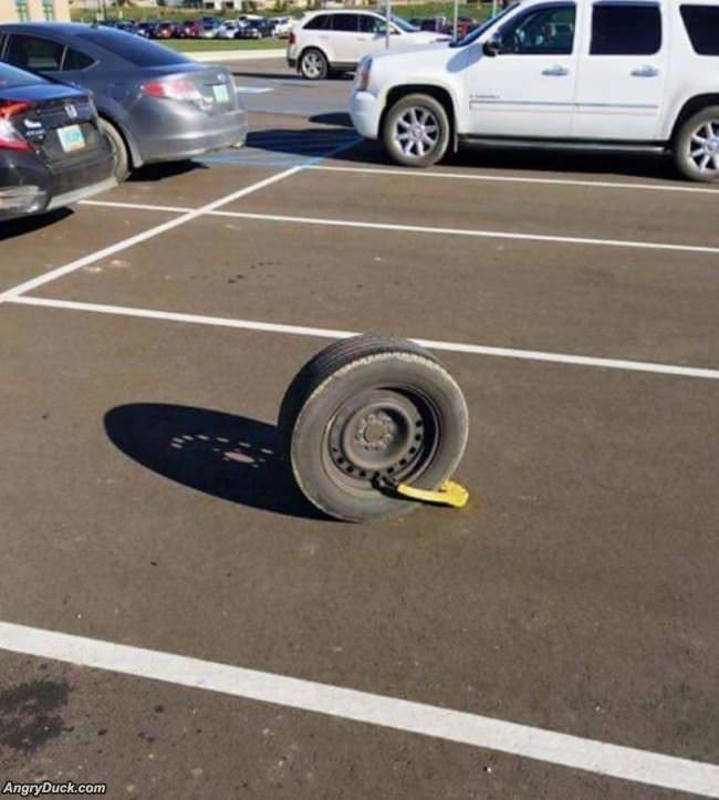 A Problem Solver